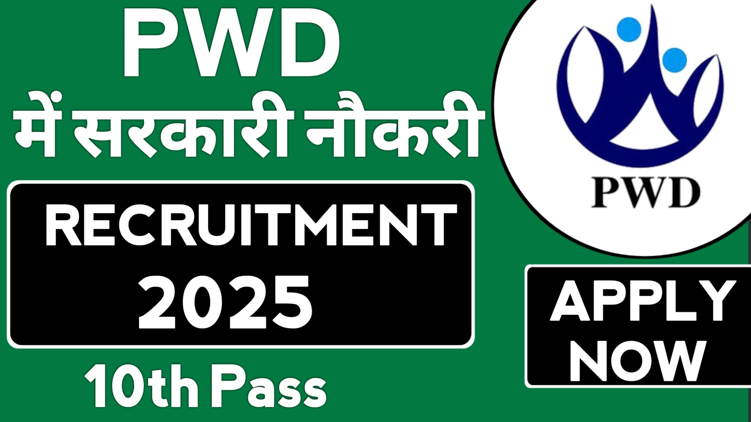 PWD DRDM Recruitment 2025