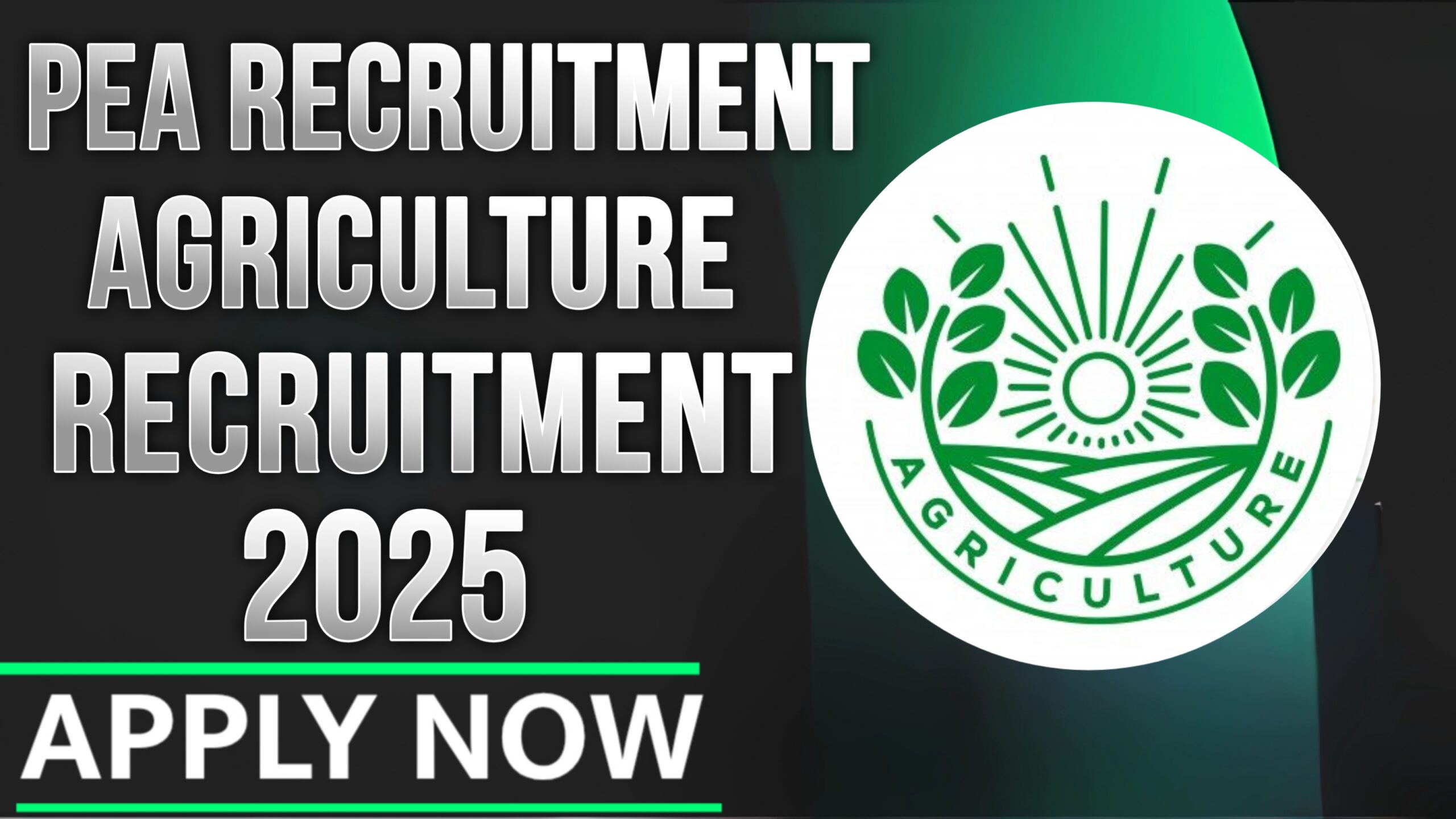 PEA Recruitment 2025